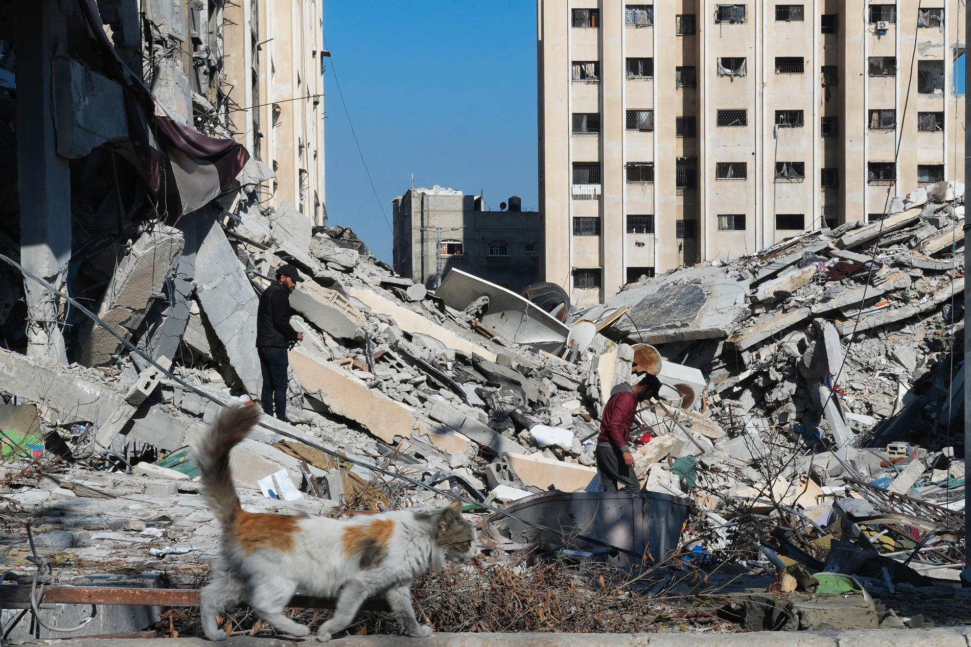 Förstörda byggnader i Gaza. 