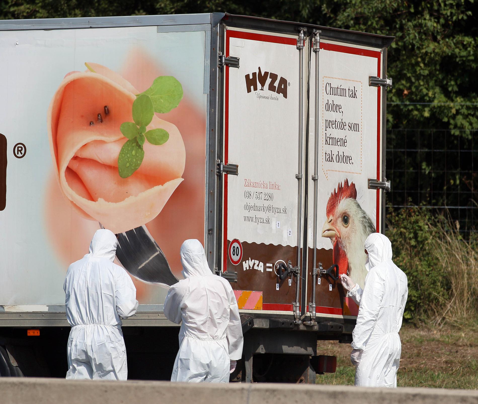 I torsdags hittades 71 människor döda i en lastbil på en motorväg i Österrike.