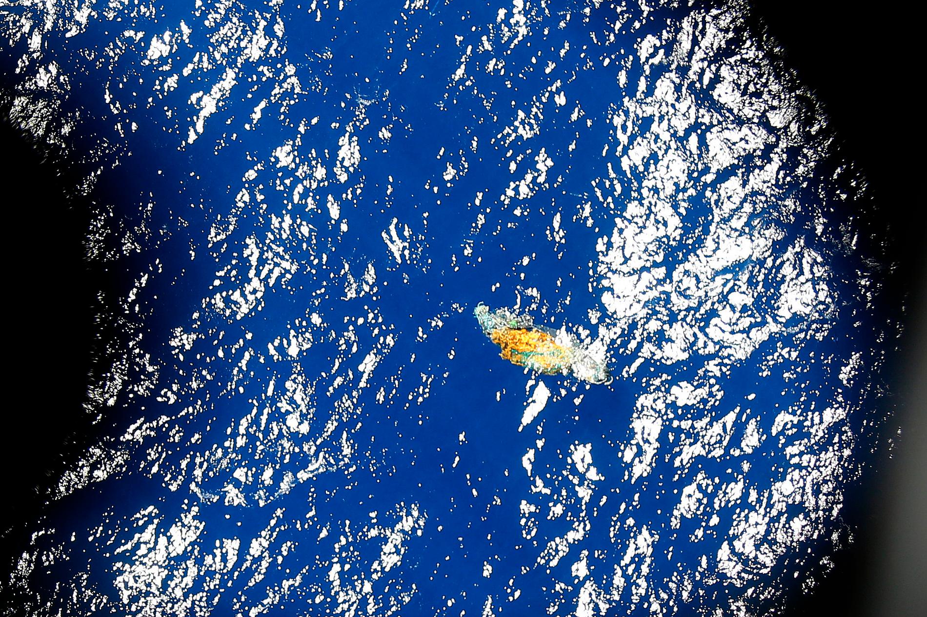 Ett okänt föremål ses flyta i vattnet när ett flygplan flyger över sökområdet i Stilla havet.