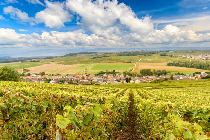 Vindistriktet Champagne i norra Frankrike med utsikt över orten Reims.