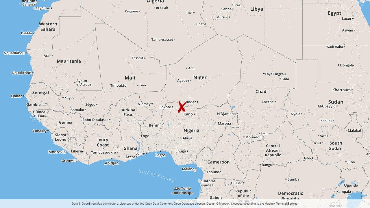 Minst elva personer drunknade när en båt kapsejsade i södra Niger.
