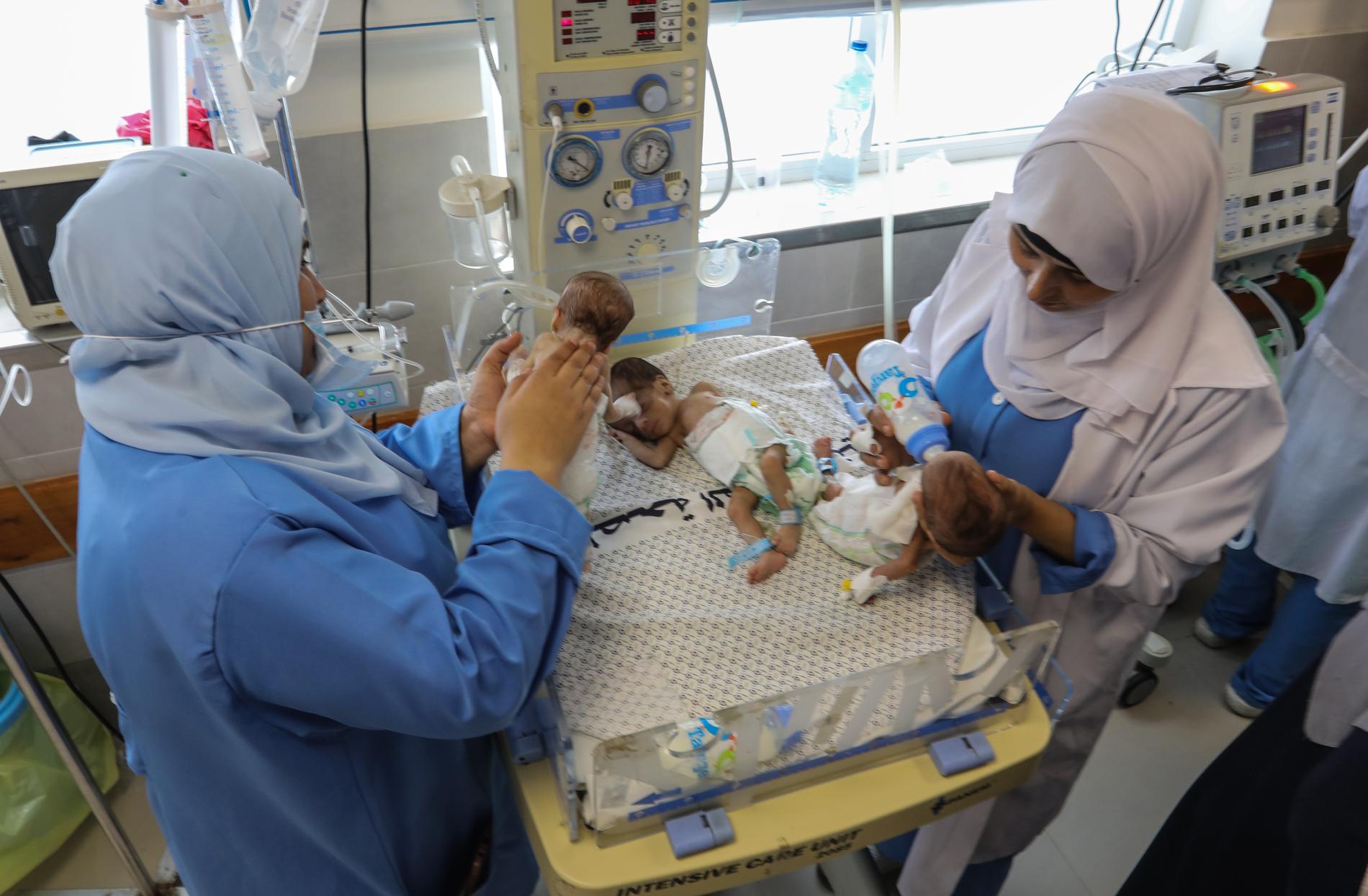 Bebisarna har tagits till ett sjukhus i Rafah, nära gränsen till Egypten.