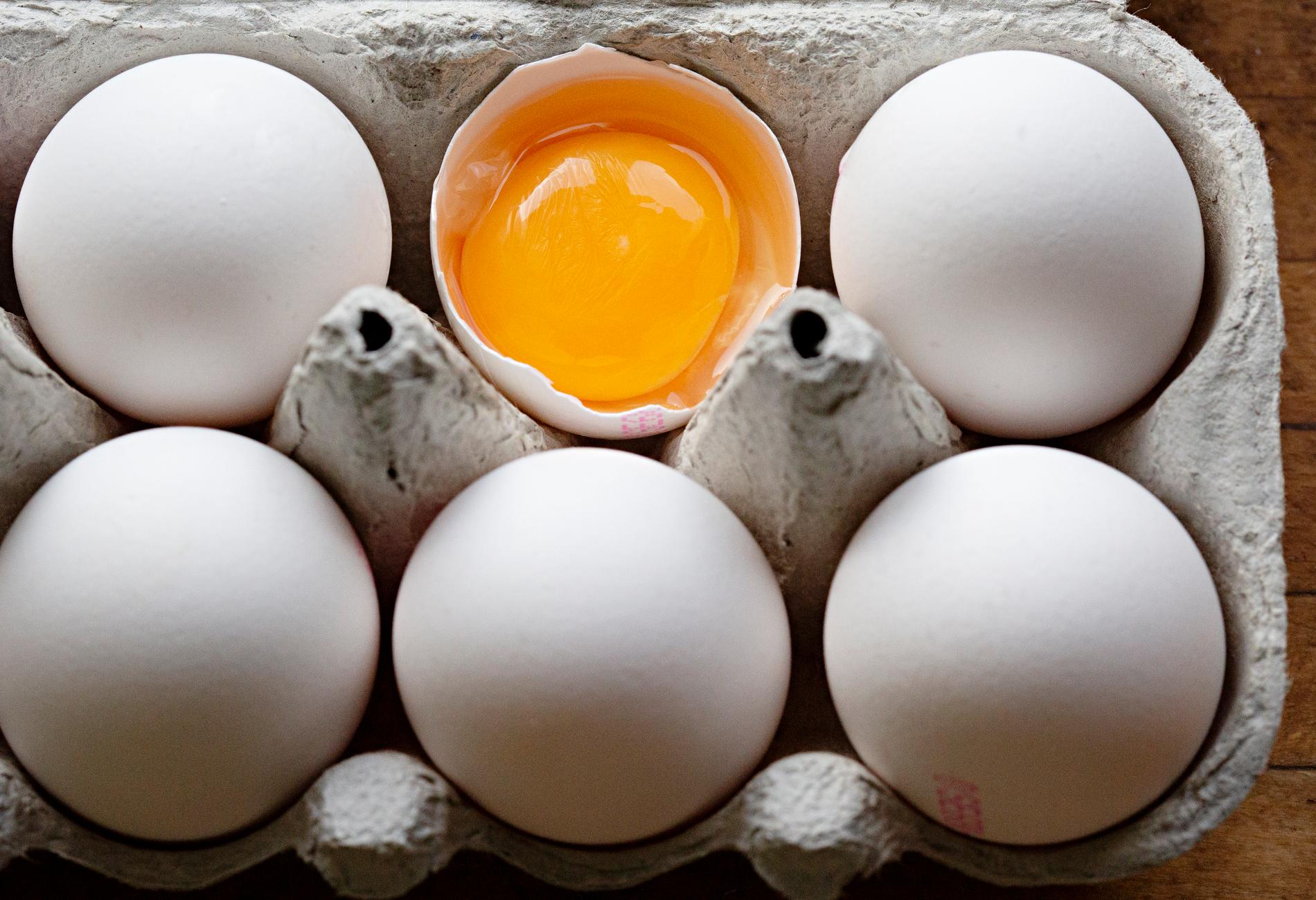 Flera livsmedelskedjor har återkallat äggpaket på grund av risk för salmonella. Arkivbild.