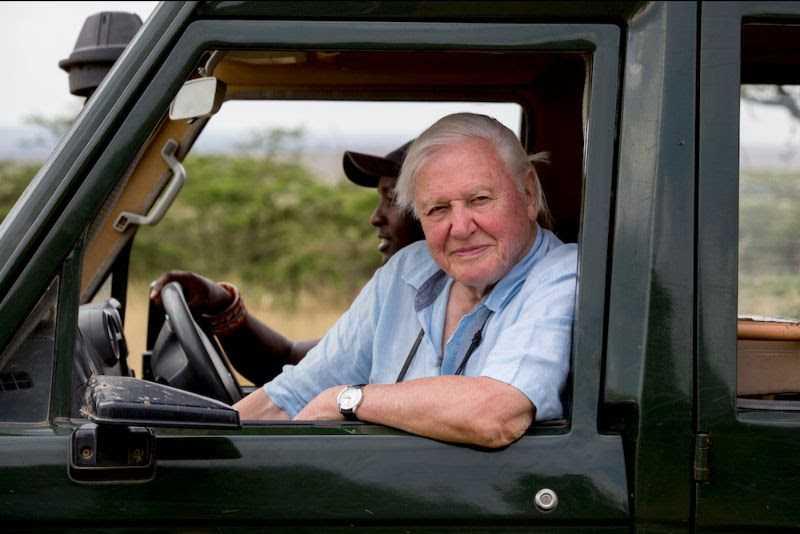 ”David Attenborough: Ett liv på vår planet”.