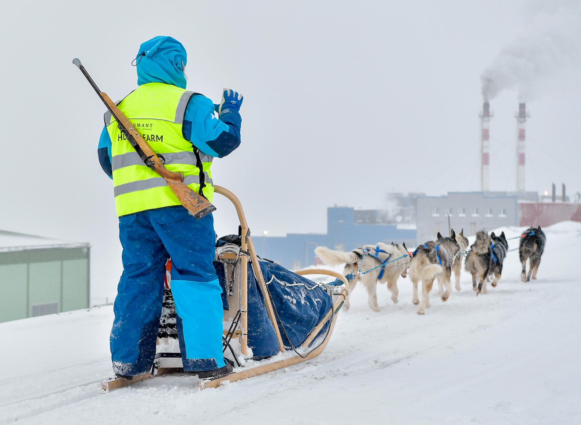 Det ryker från skorstenarna i Barentsburgs utkanter. Hundspann är bara en av många aktiviteter som erbjuds turister i det ryska gruvsamhället – i hopp om att locka fler besökare när koldriften blir allt mindre lönsam.