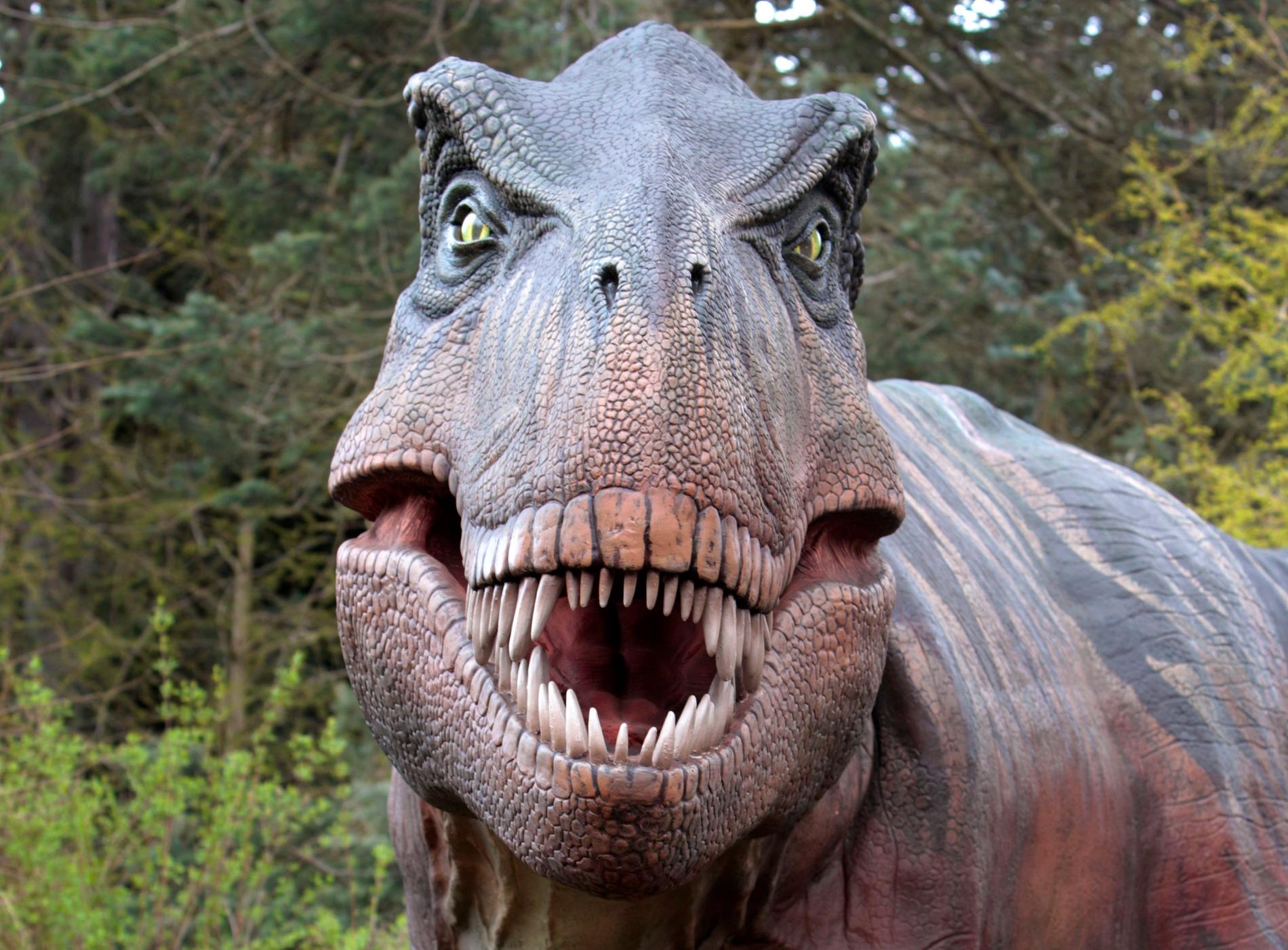 En annan T-rex. Arkivbild.