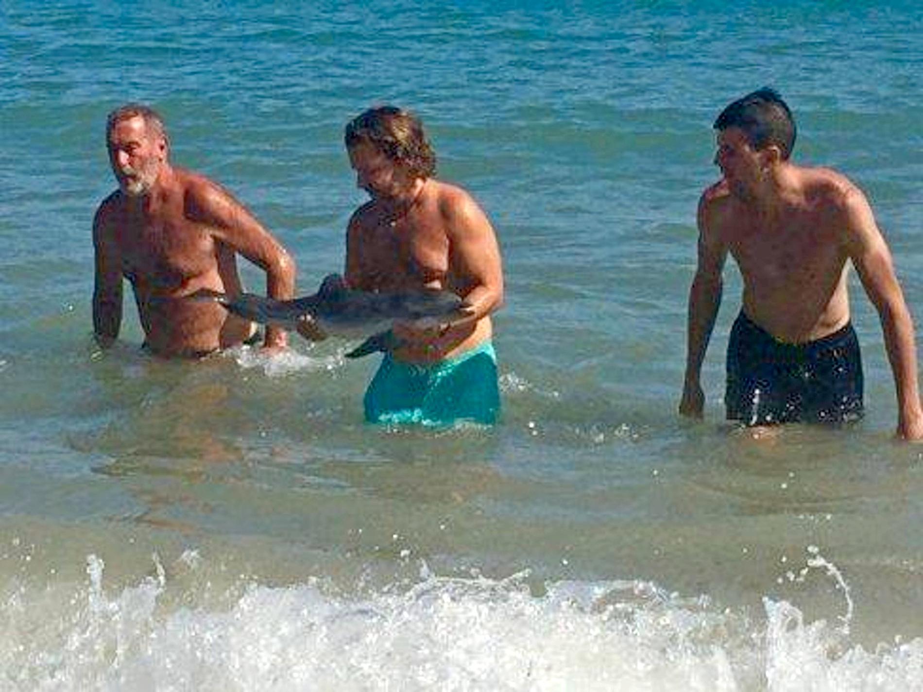 En medlem i organisationen Equinac bär in den döda delfinen till stranden.