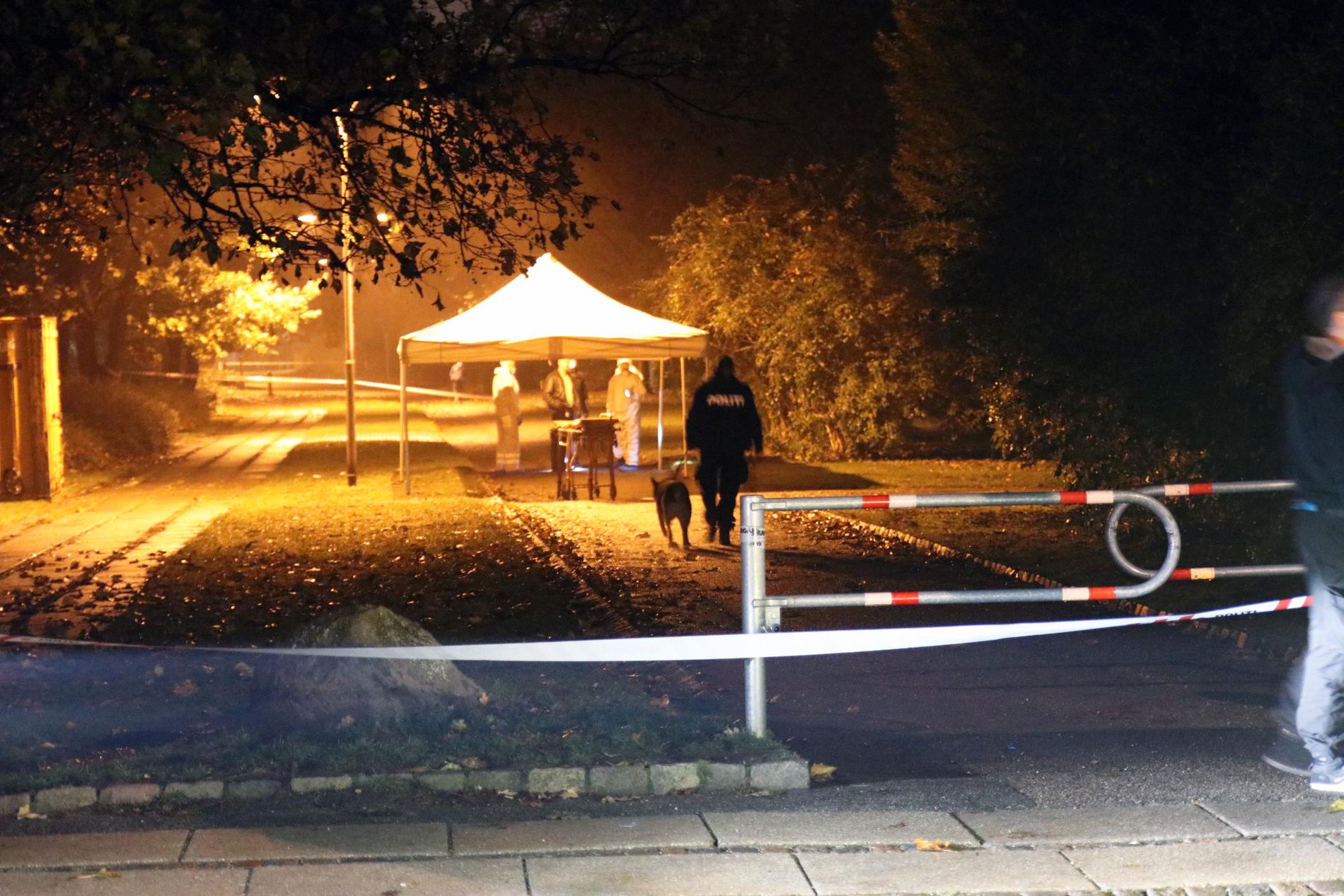 Här i en park i Herlev, omkring en mil nordväst om Köpenhamn mördades gravida Louise Borglit, 32.