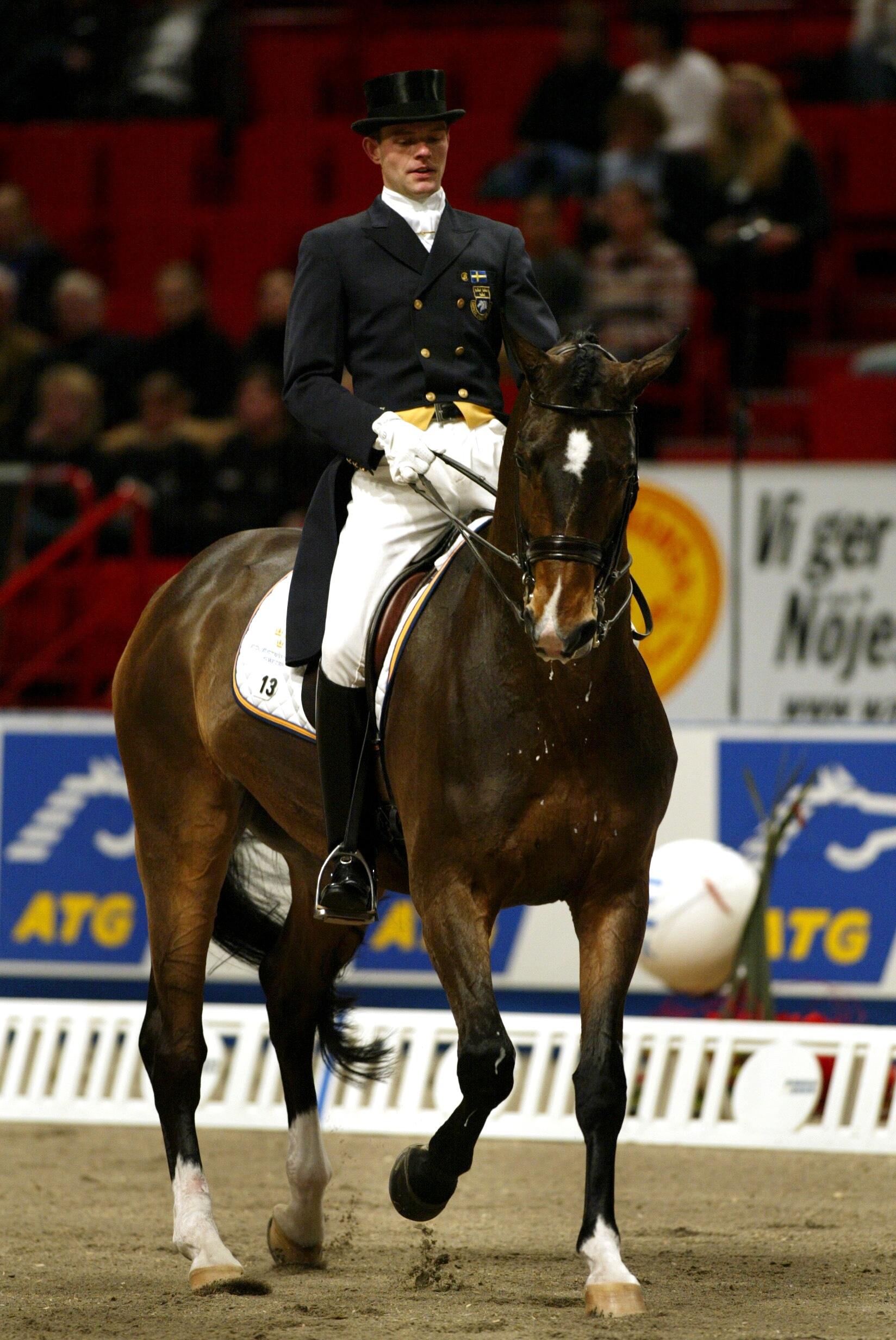 Mattias Jansson på Stockholm Horse Show.