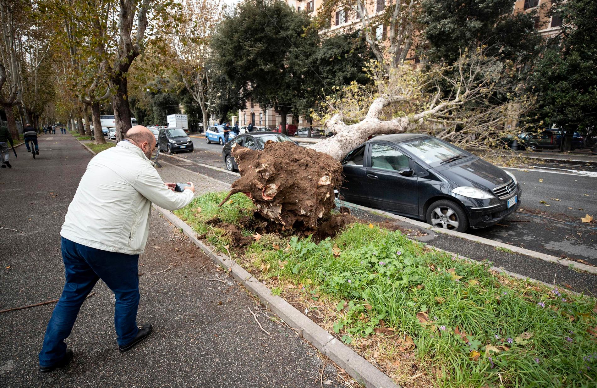 En man fotograferar en parkerad bil som skadats av ett nedblåst träd i italiens huvudstad Rom.