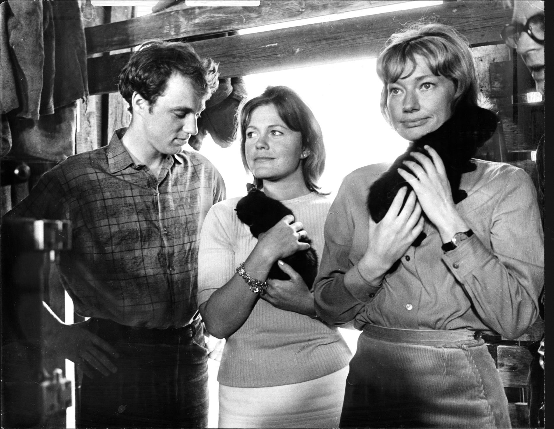 Hans Ernback, Christina Schollin och Kerstin Tidelius på inspelningen av komedin ”Adamsson i Sverige” från 1966.