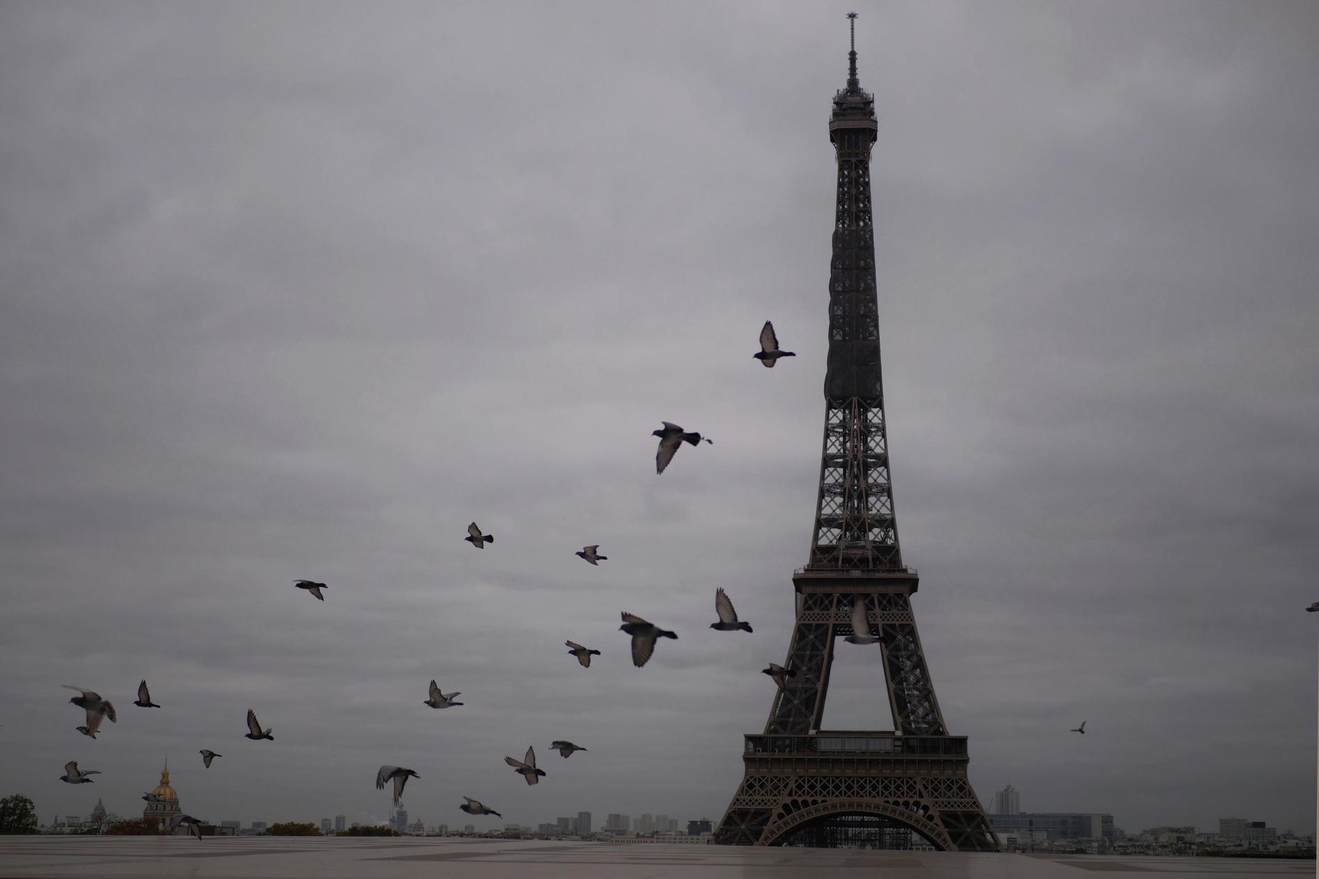 Polisen oskadliggjorde en knivman i Paris på fredagen.