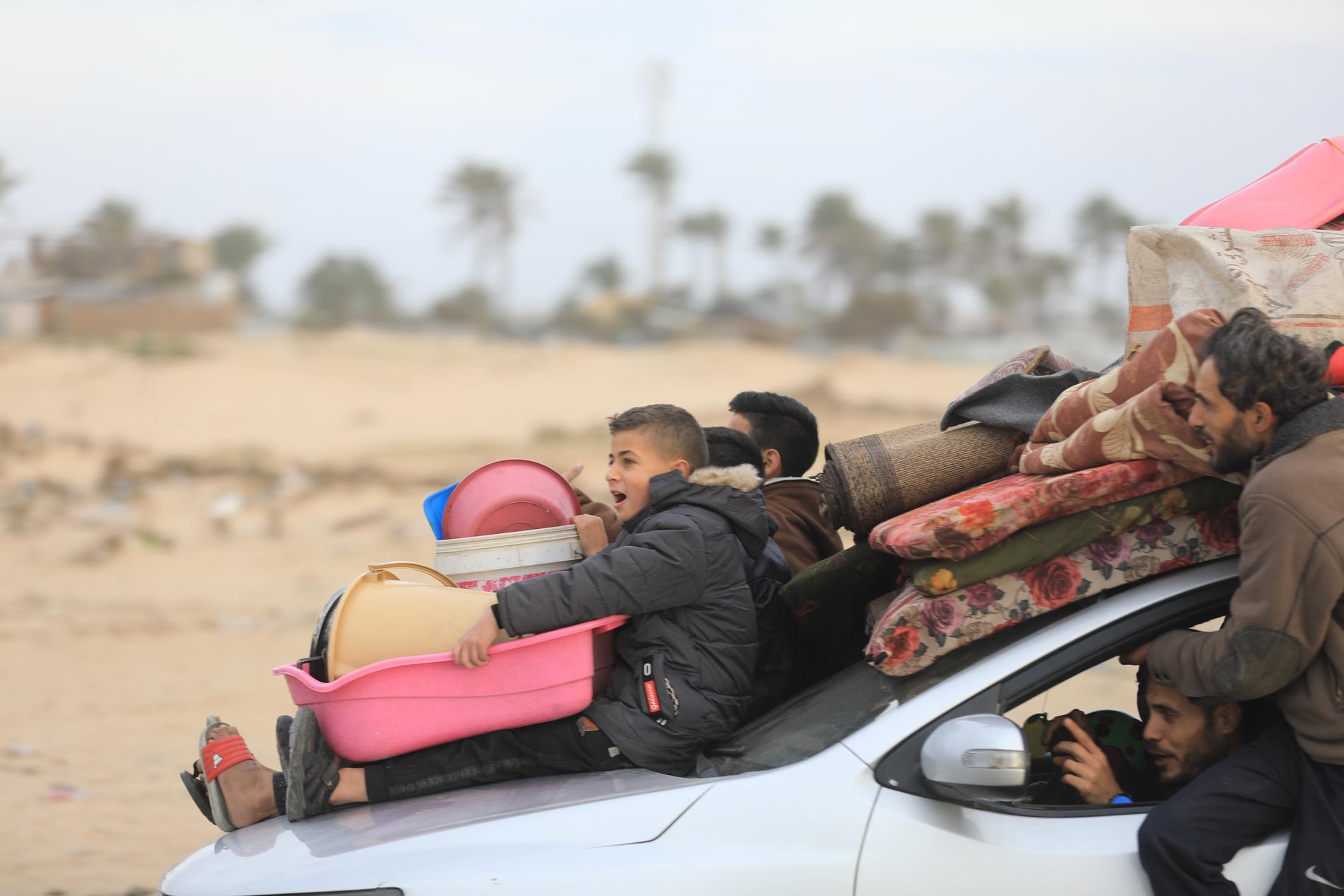 Hamish Young, katastrofsamordnare på Unicef, beskriver att de som har resurser flyr från Rafah, men att de sköraste blir kvar och därmed löper störst risk vid en markoffensiv. 
