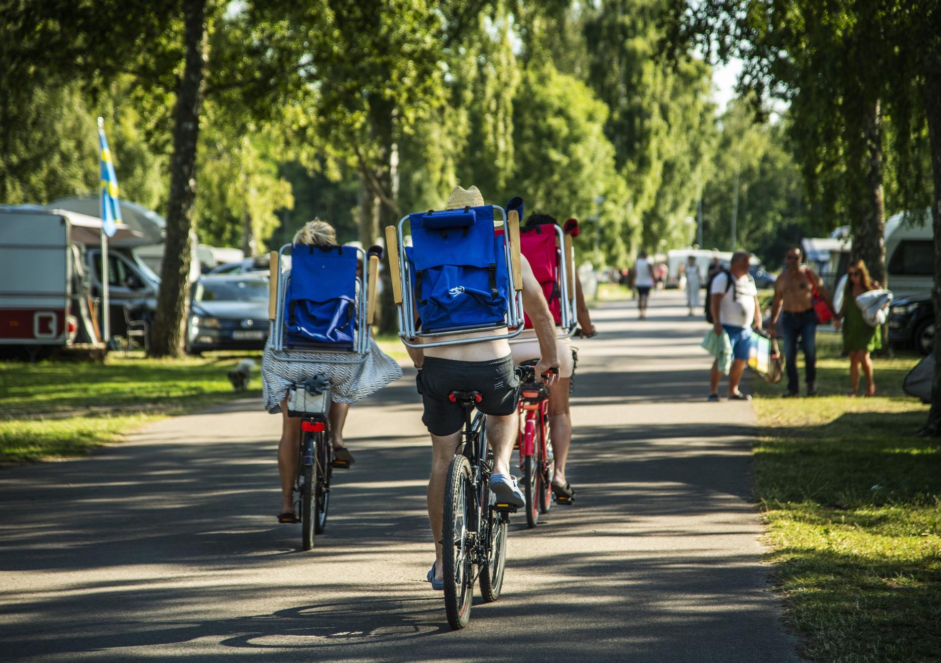  Besökare på cykel på Böda camping i juli.