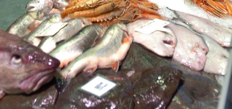 FISKFUSK Pollock och pangiasus säljs som torsk och kolja. – Myndigheter i Frankfurt har också hittat nya arter, som vi tidigare inte ätit, säger Bert Popping, forskare vid Eurofins laboratorier i Hamburg.