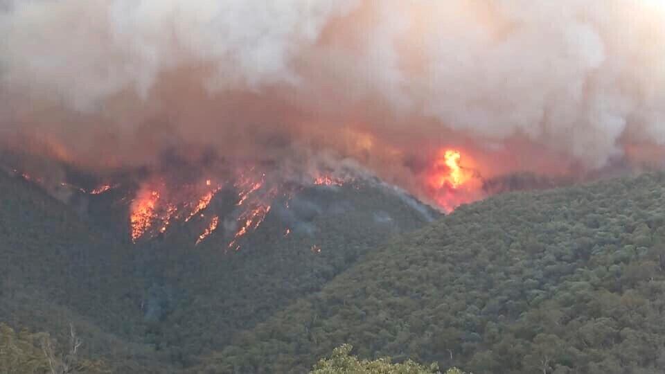 Skogsbränderna i Gippsland i Victoria i torsdags. Bild från den lokala miljömyndigheten.
