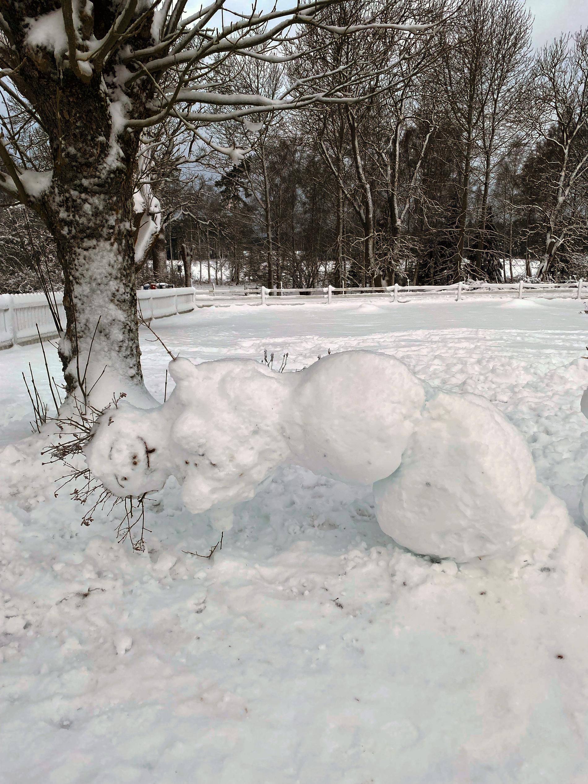 Den ”svävande” snögubben på Gotland.