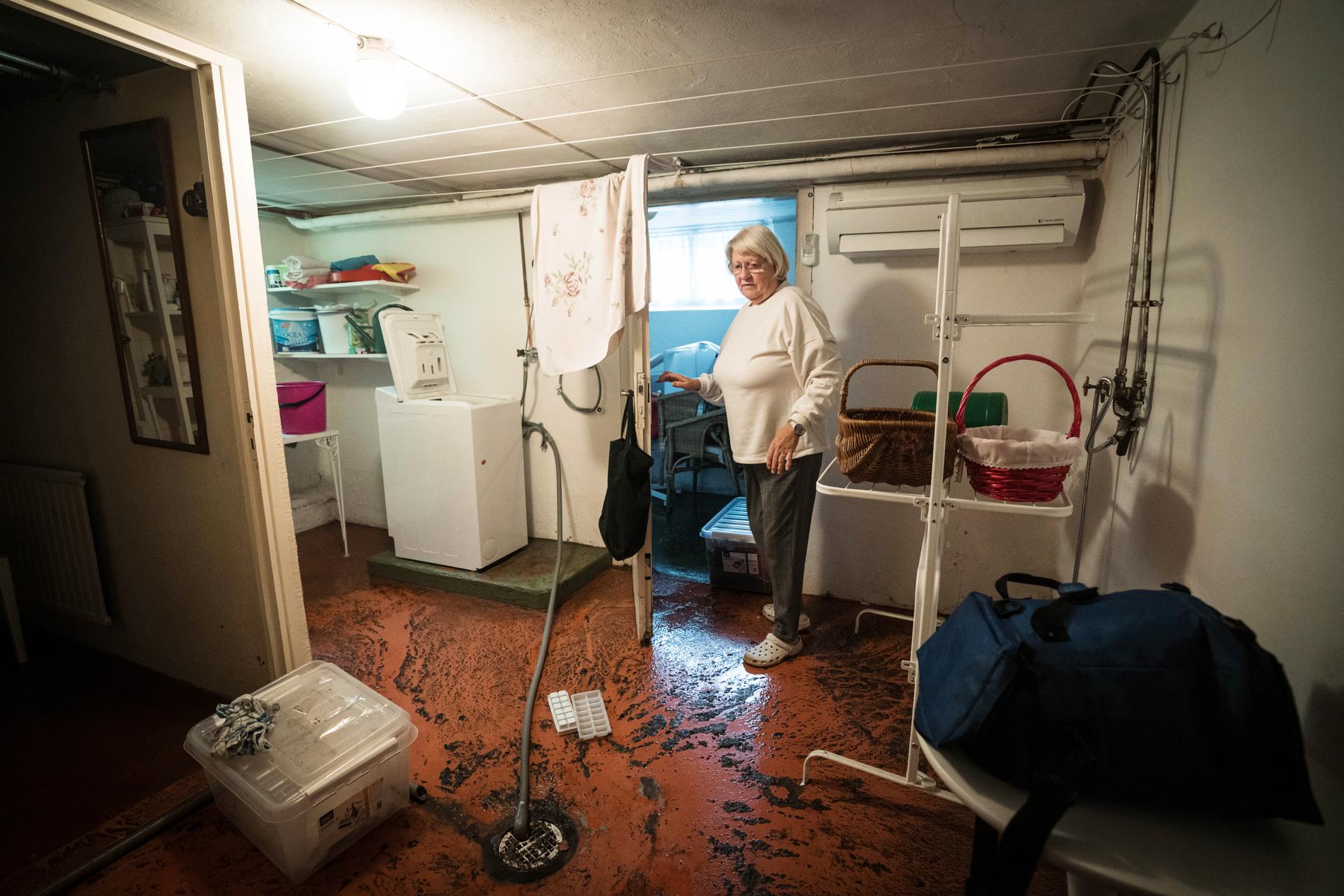 Elisabet Levin, 73, vars källare hade flera decimeter högt vatten över golvet. 