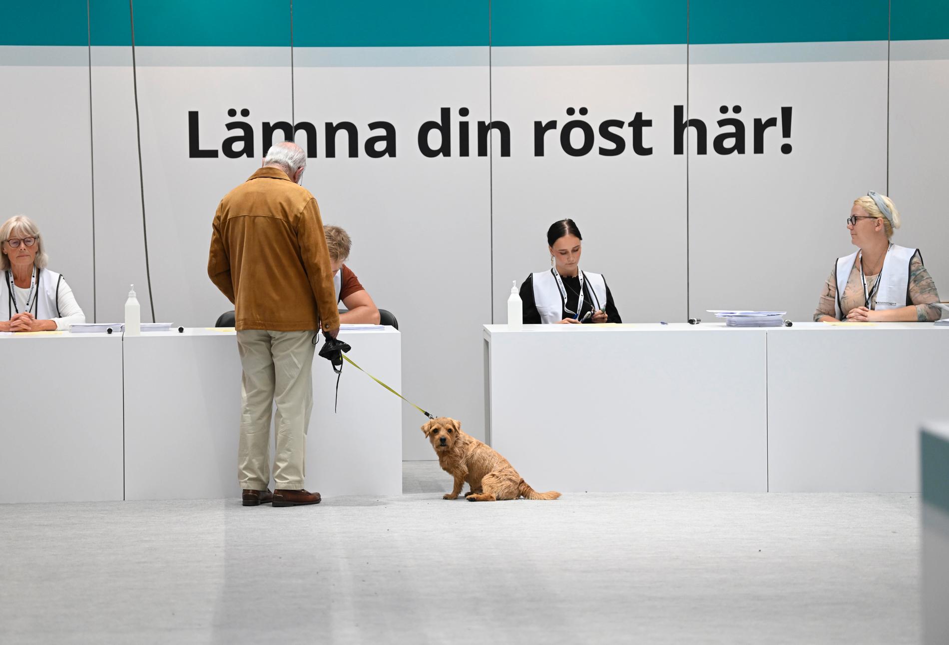 Förtidsröstningen på Stockholms centralstation öppnade på onsdagen.