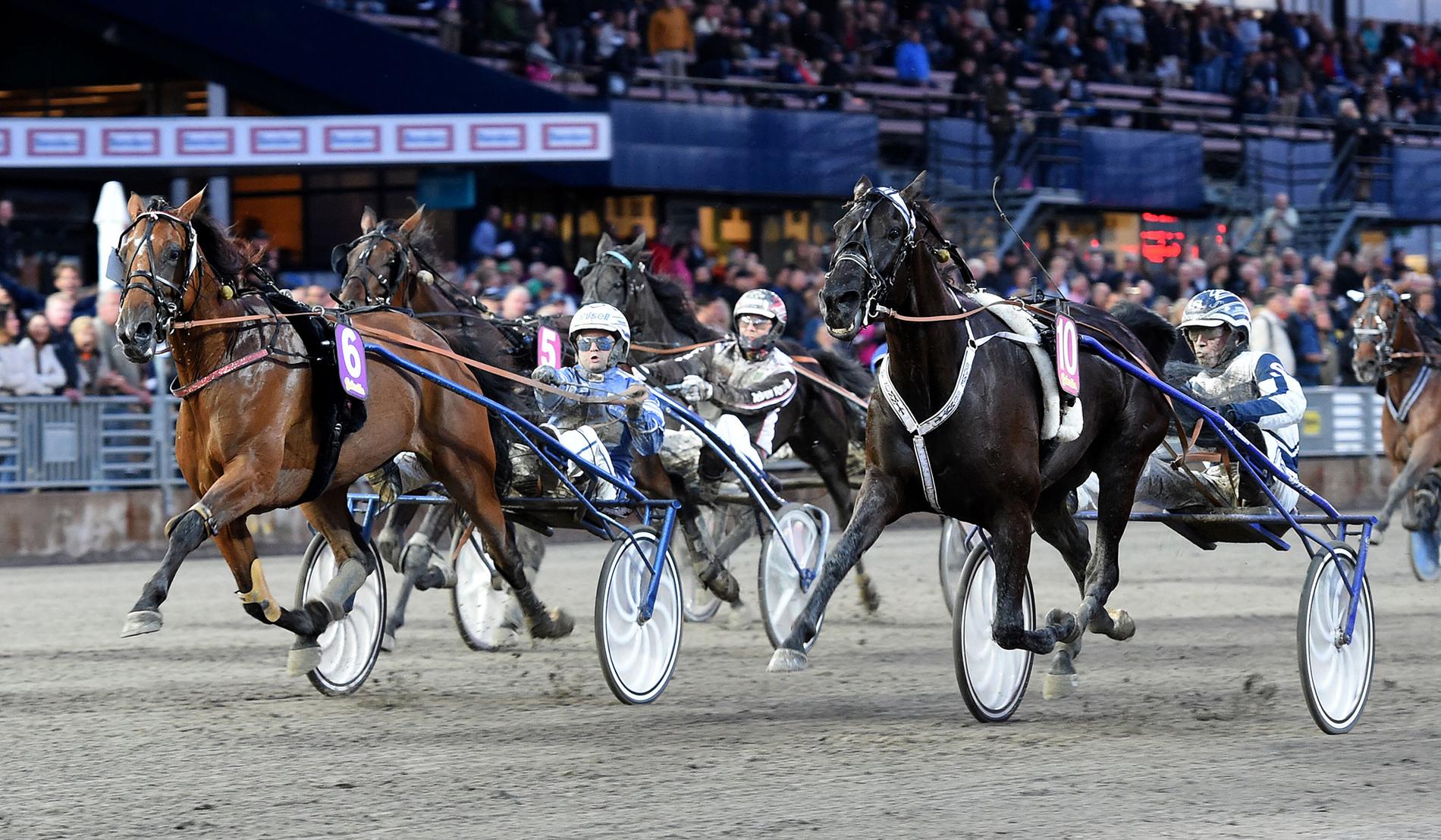 Anna Mix är en av hästarna som startar på lördagens V75 där en ensam vinnare kan ta hem 43 miljoner kronor.