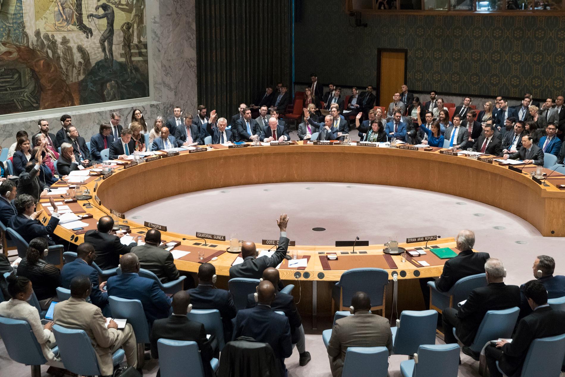Så här brukar det se ut när FN:s säkerhetsråd håller sina möten – här röstar rådet i New York om en resolution om Syrien den 14 april.