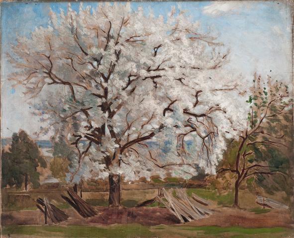 Frisk "Blommande äppelträd", 1864, olja på duk. Den sista friska sommaren målade Hill en hel svit av blommande fruktträd.