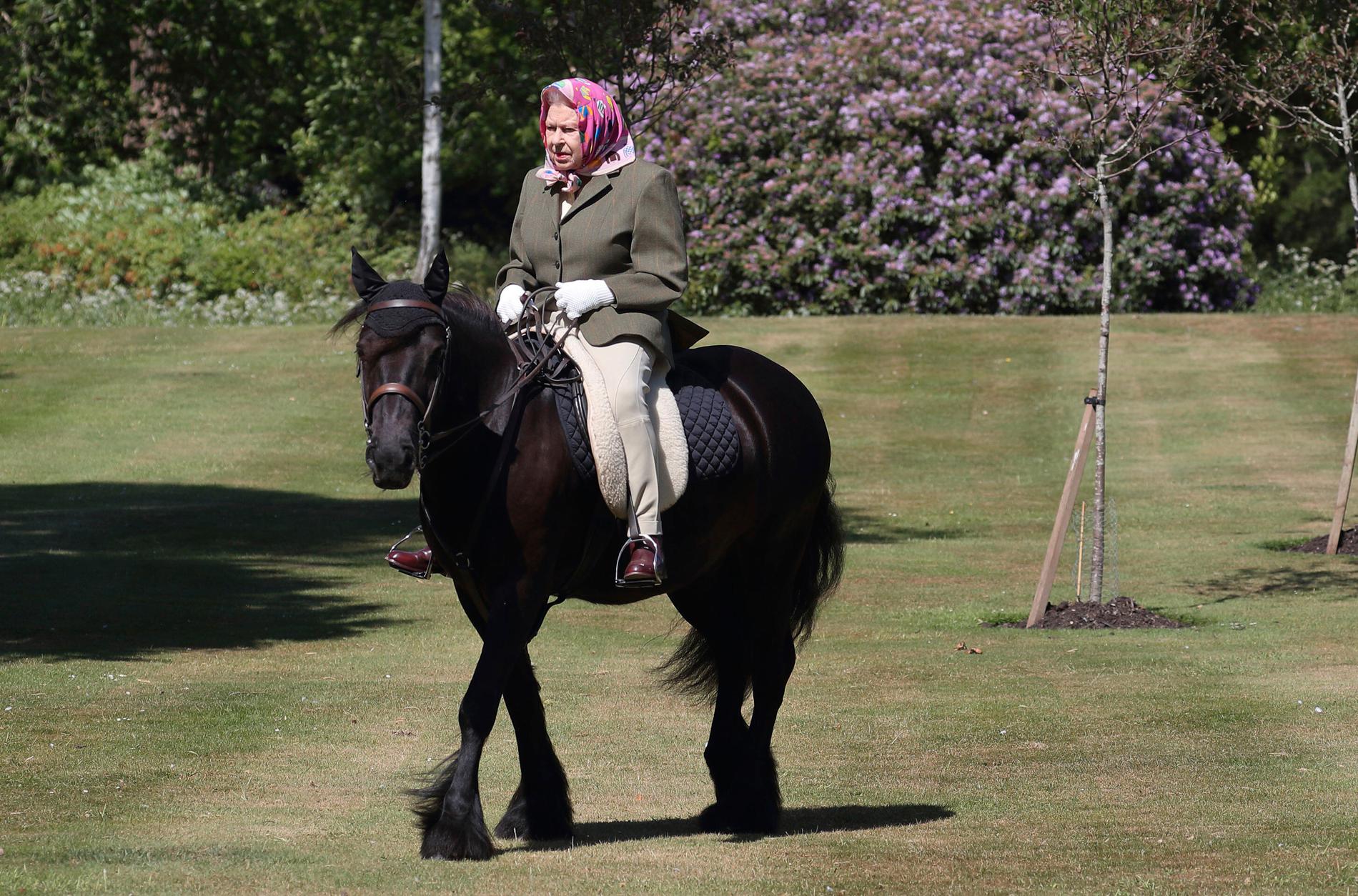Drottning Elizabeth på sin häst vid Windsor.