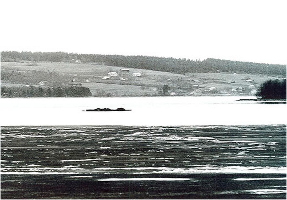 Storsjöodjuret På det här fotot från 1966 sägs Storsjöodjuret synas ovanför vattnet för en stund. Foto: HALLINGS FOTO/JAMTLIS ARKIV