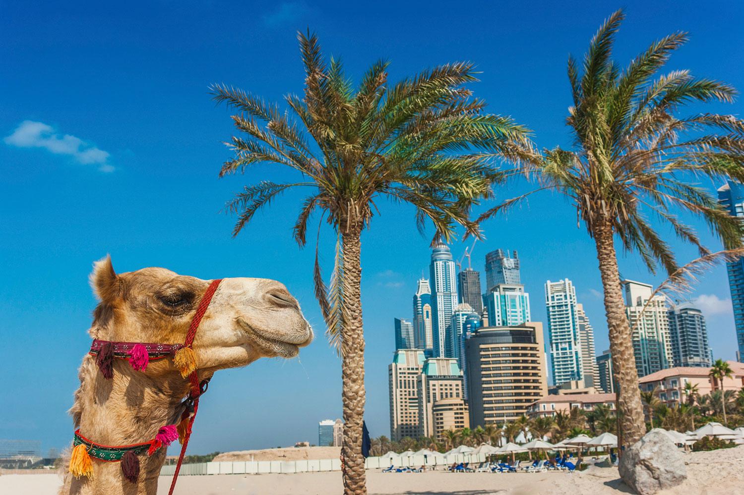 I Dubai har priserna rasat mest, här har det blivit 27 procent billigare för svenskar att turista.