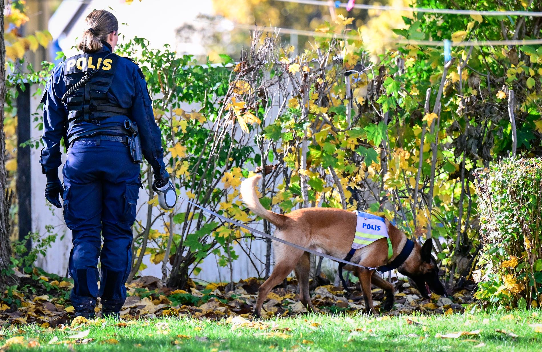 Polis söker med hund vid en adress i Vetlanda efter en försvunnen kvinna.