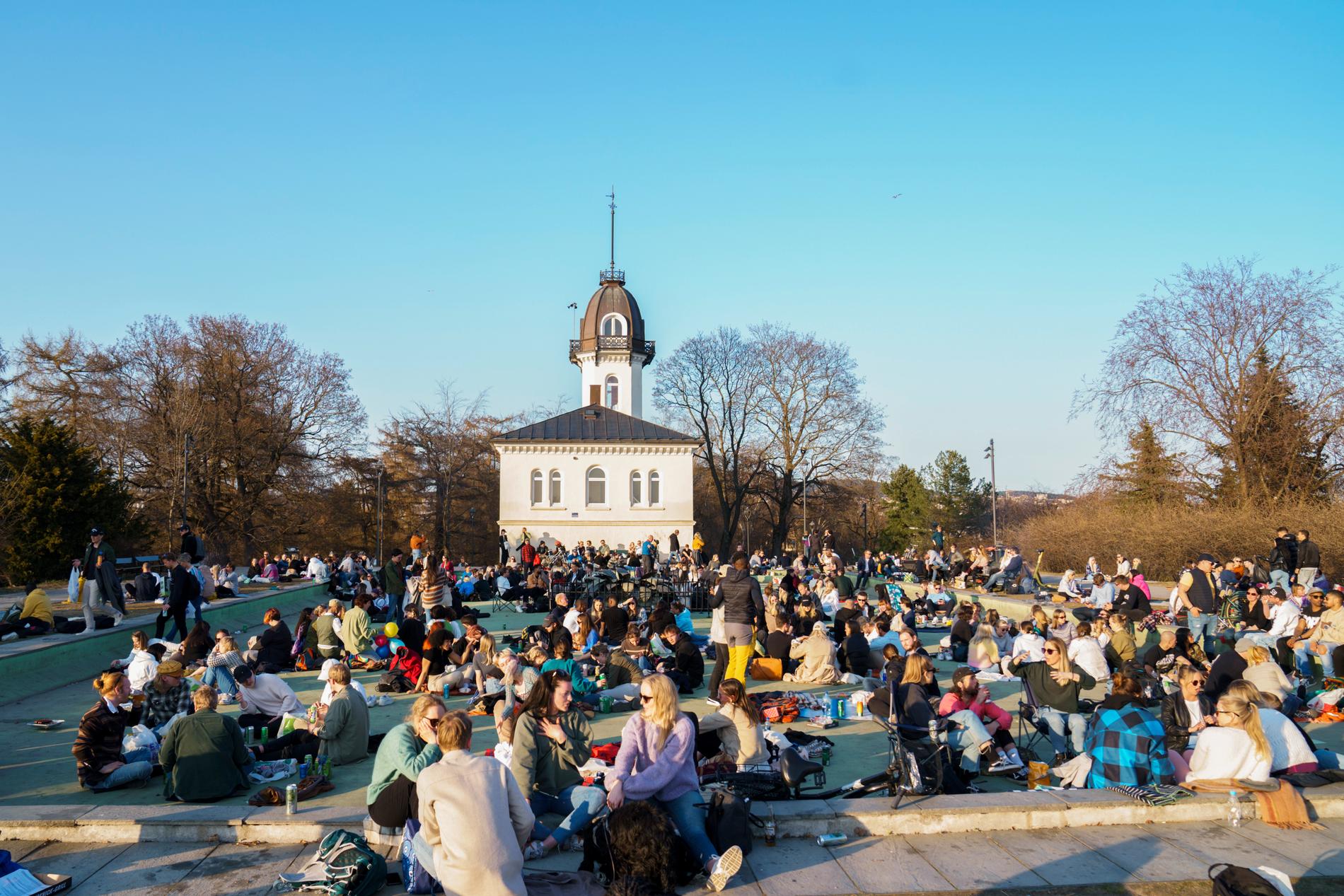 Folksamling i parken St Hanshaugen i Oslo på lördagskvällen.