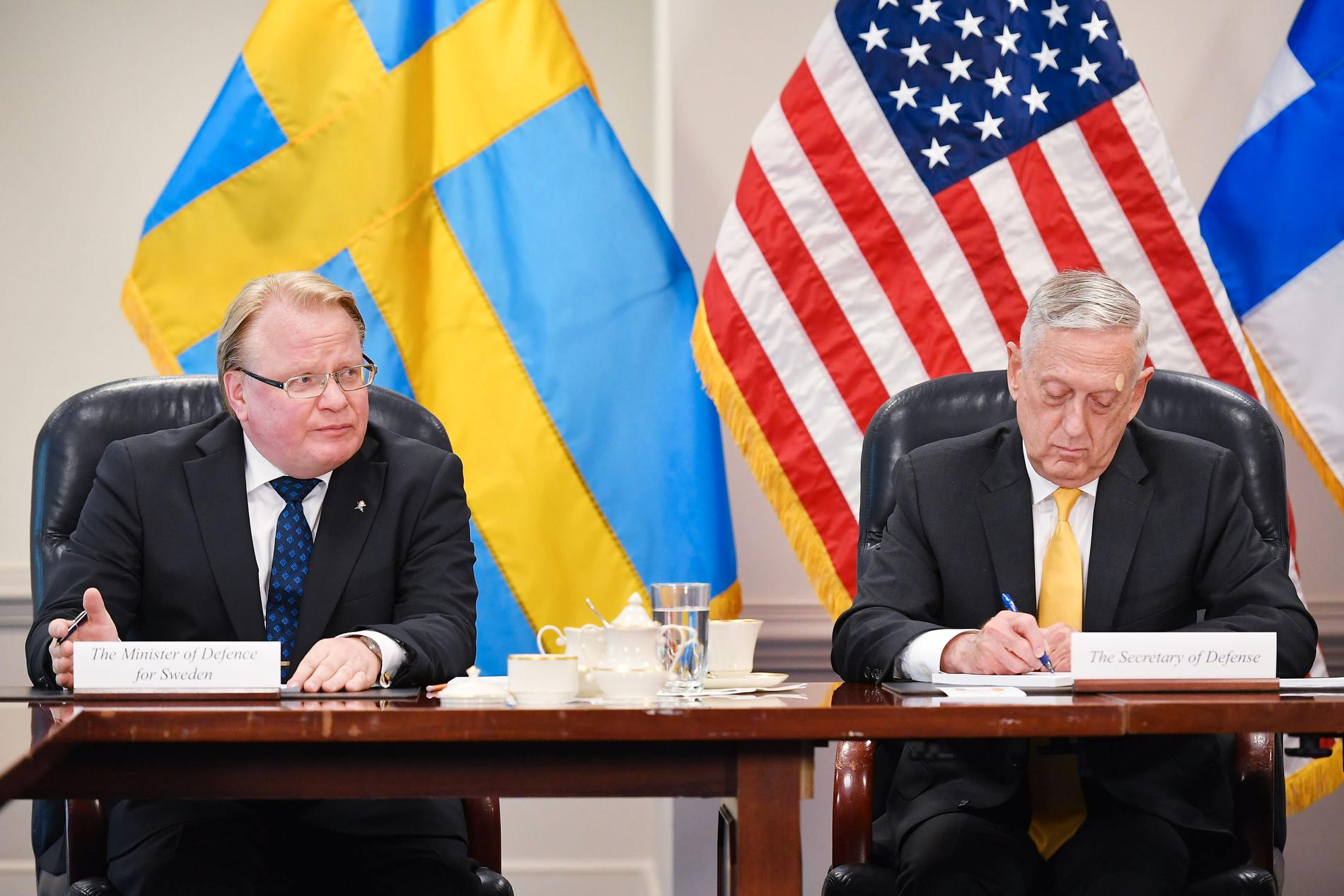 Försvarsminister Peter Hultqvist mötte den amerikanske försvarsministern James Mattis.