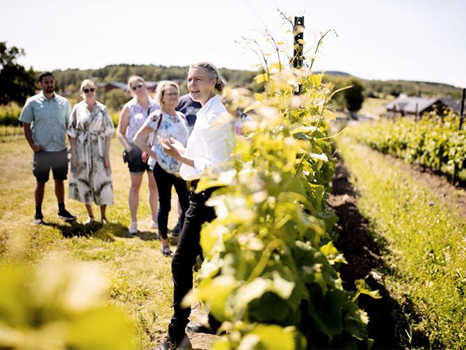 Ästad vingård – här kan du uppleva en fyllig och smakrik weekend.