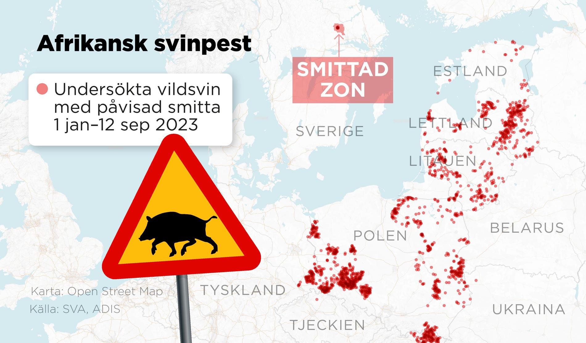 Kartan visar var undersökta vildsvin som påvisats vara smittade av afrikansk svinpest hittats under perioden 1 januari–12 september 2023.