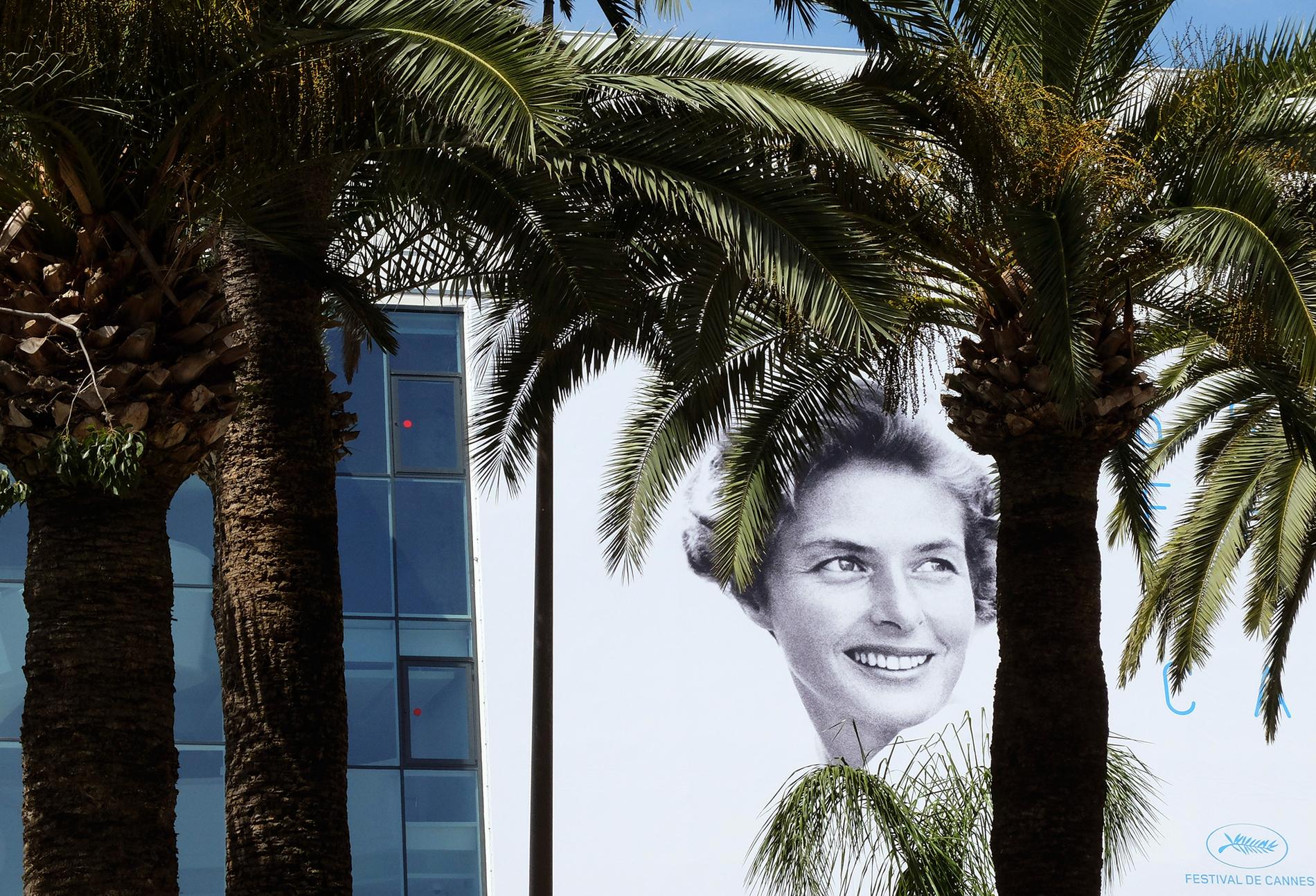 Ingrid Bergman - Cannes.