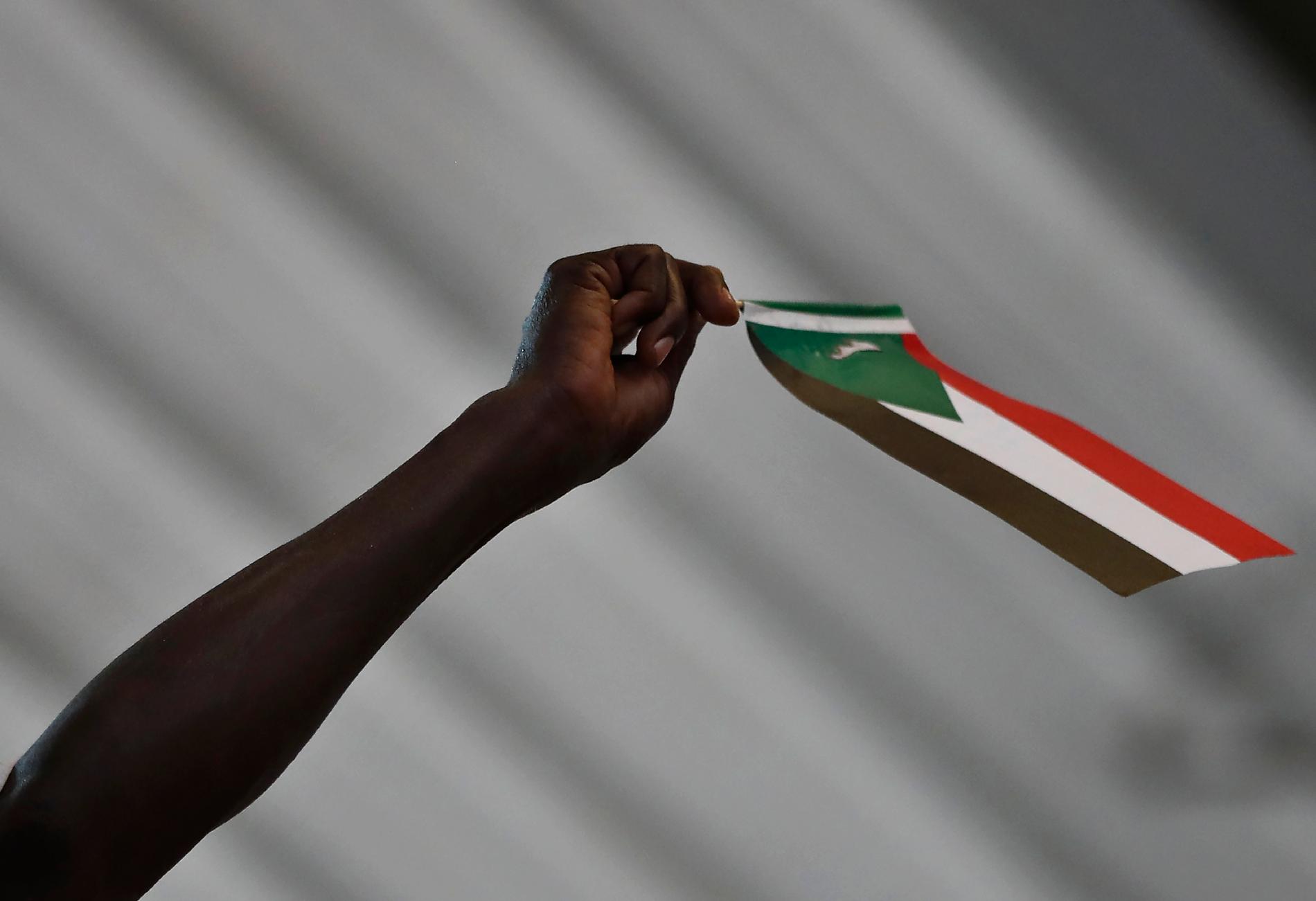 Parterna i Sudan uppges vara överens om en konstitutionell deklaration. Arkivbild.