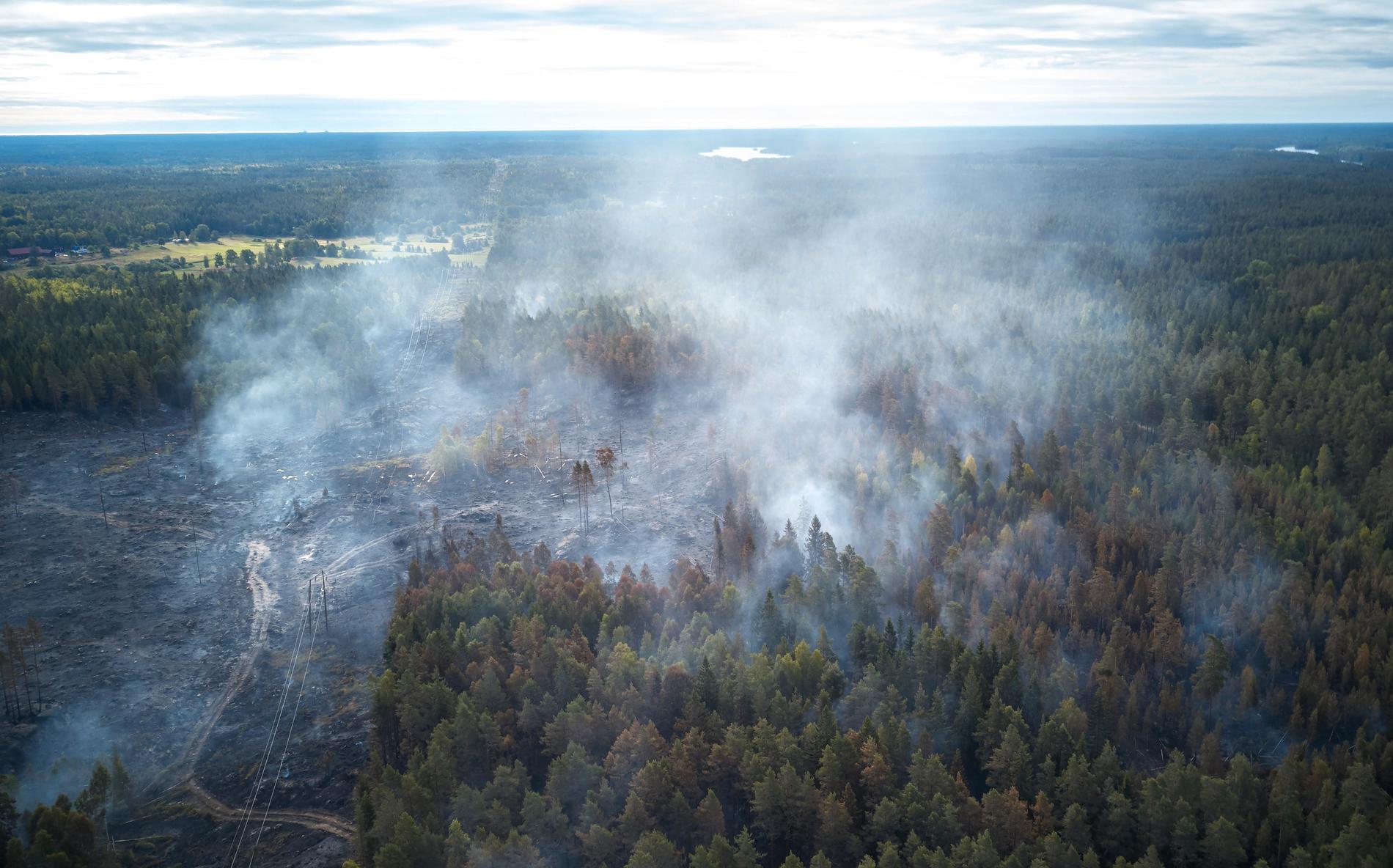 Tidigare i veckan brann det nordväst om Oskarshamn efter att en kraftledning fallit ner över träd. Branden är bara en av flertalet skogsbränder hittills i sommar.