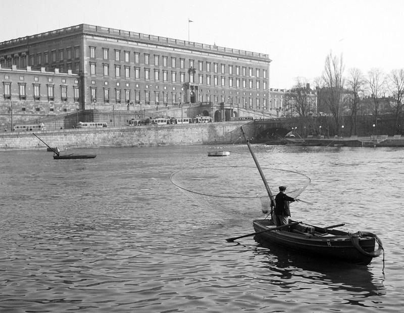 En håvfiskare på Norrström i Stockholm, med Slottet i bakgrunden, taget någon gång mellan 1940 och 1945.