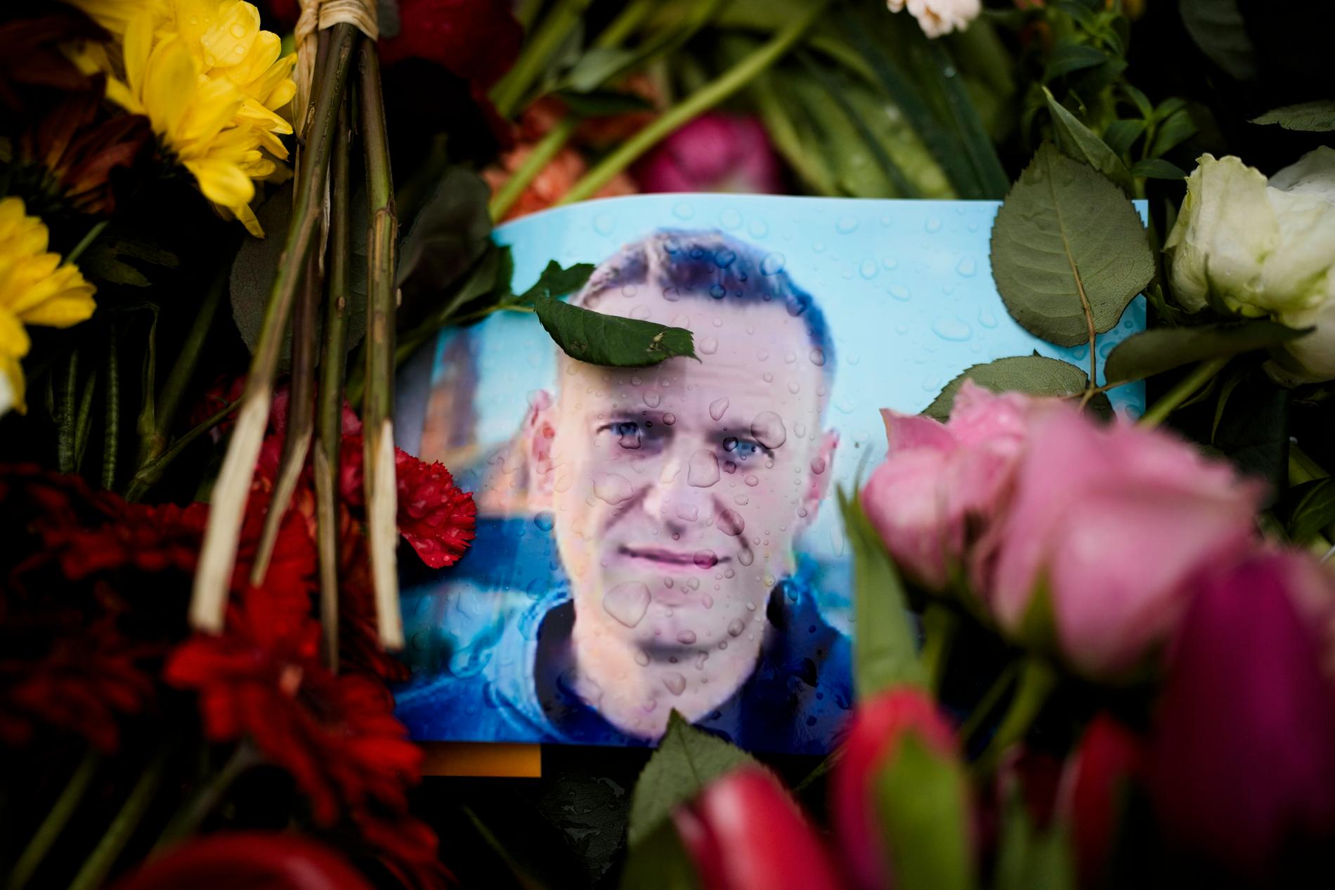 Porträtt av Alexej Navalnyj täckt av blommor utanför ryska ambassaden i Berlin. 