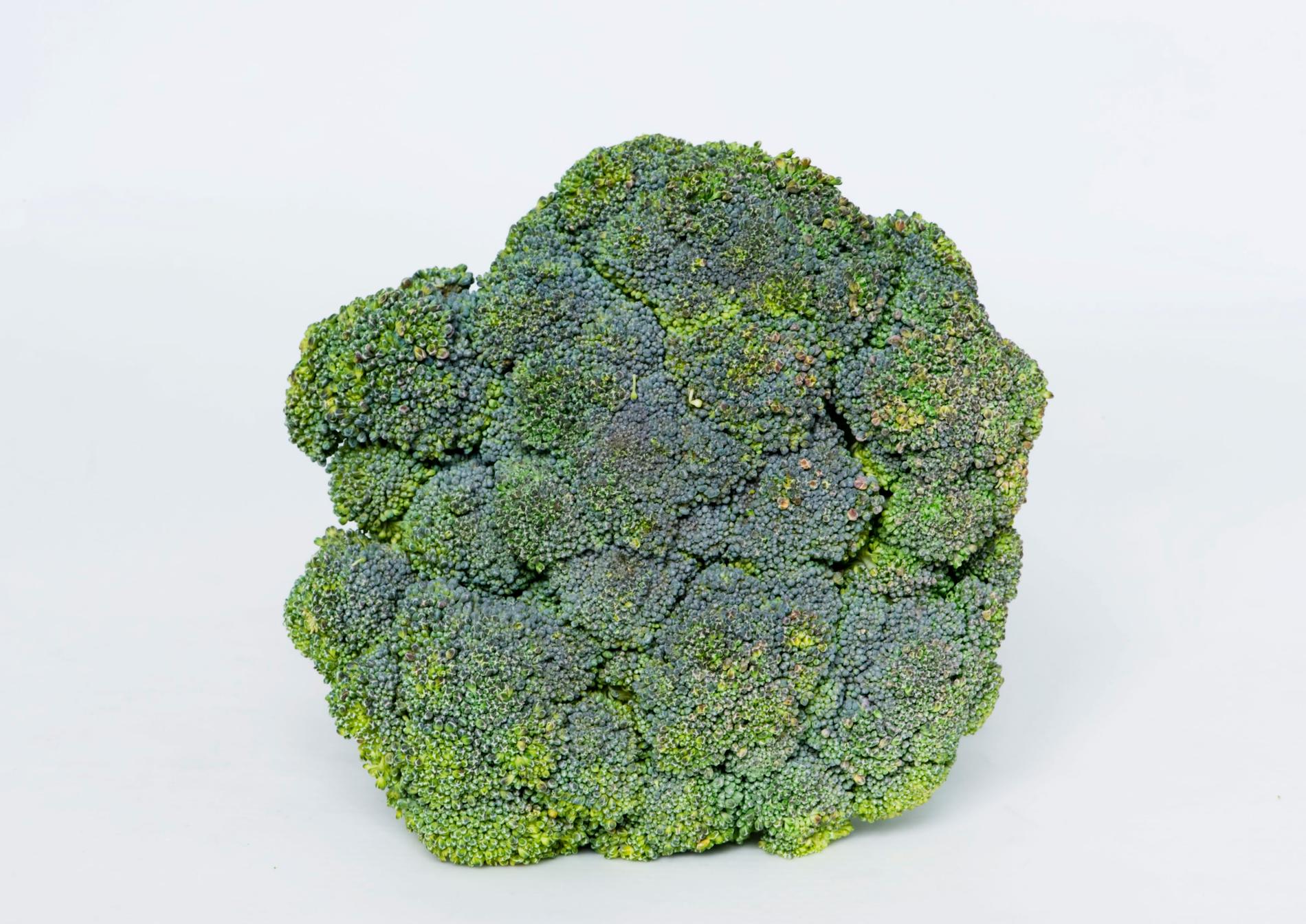 Broccoli. Arkivbild.