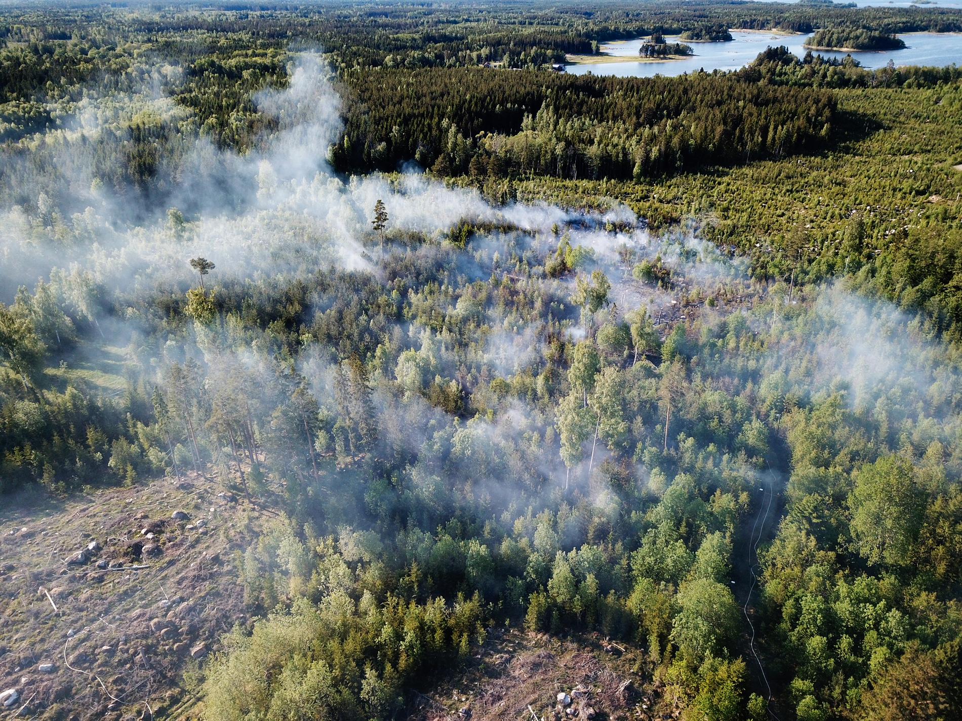Skogsbrand utanför Tierp vid Karlholm i maj. 