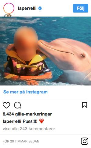 Charlotte Perrellis sin badade med delfiner. 
