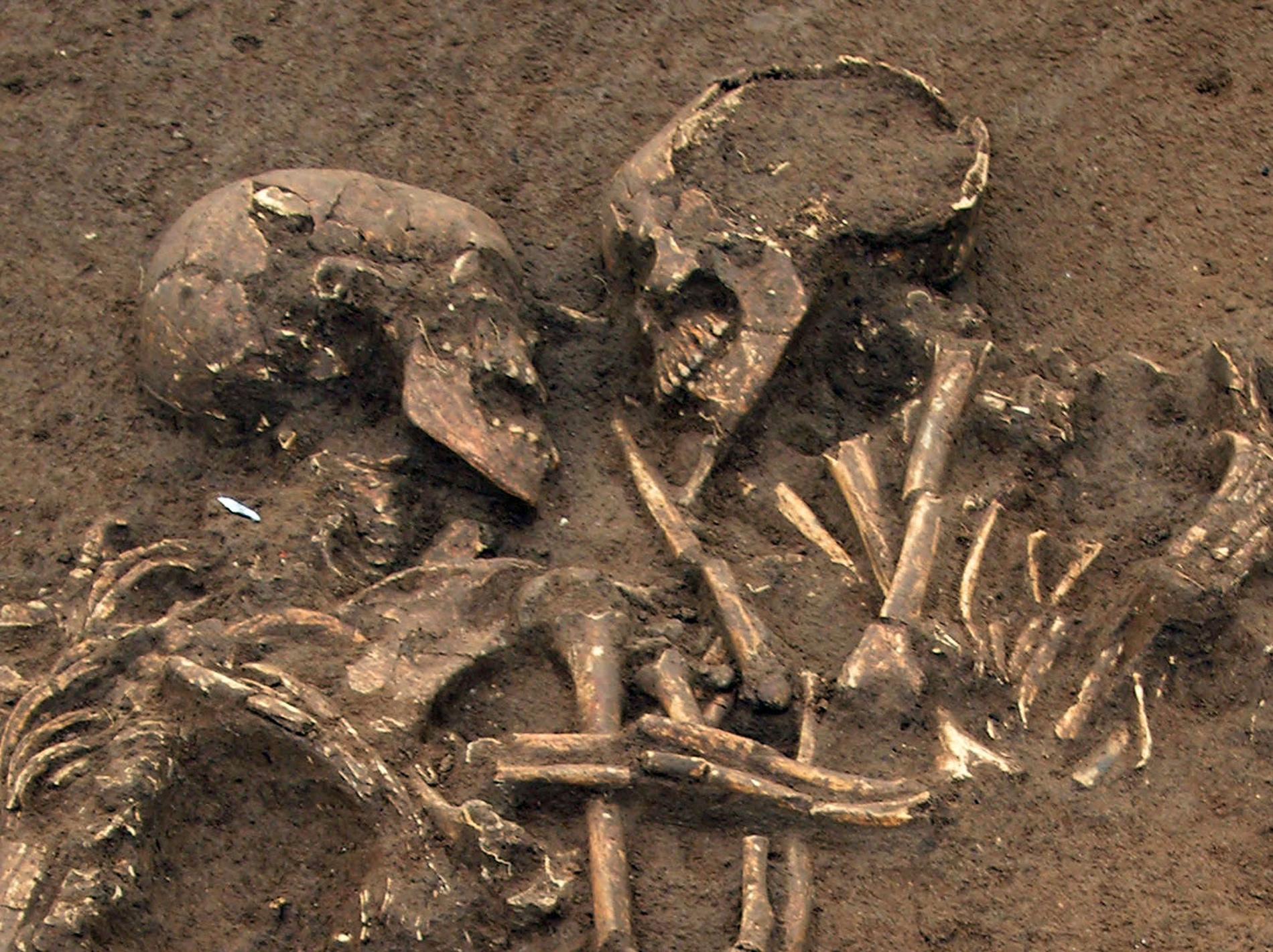 Fynden har gjorts på skelett från stenåldern. Arkivbild – skeletten på bilden har inte direkt med artikeln att göra.