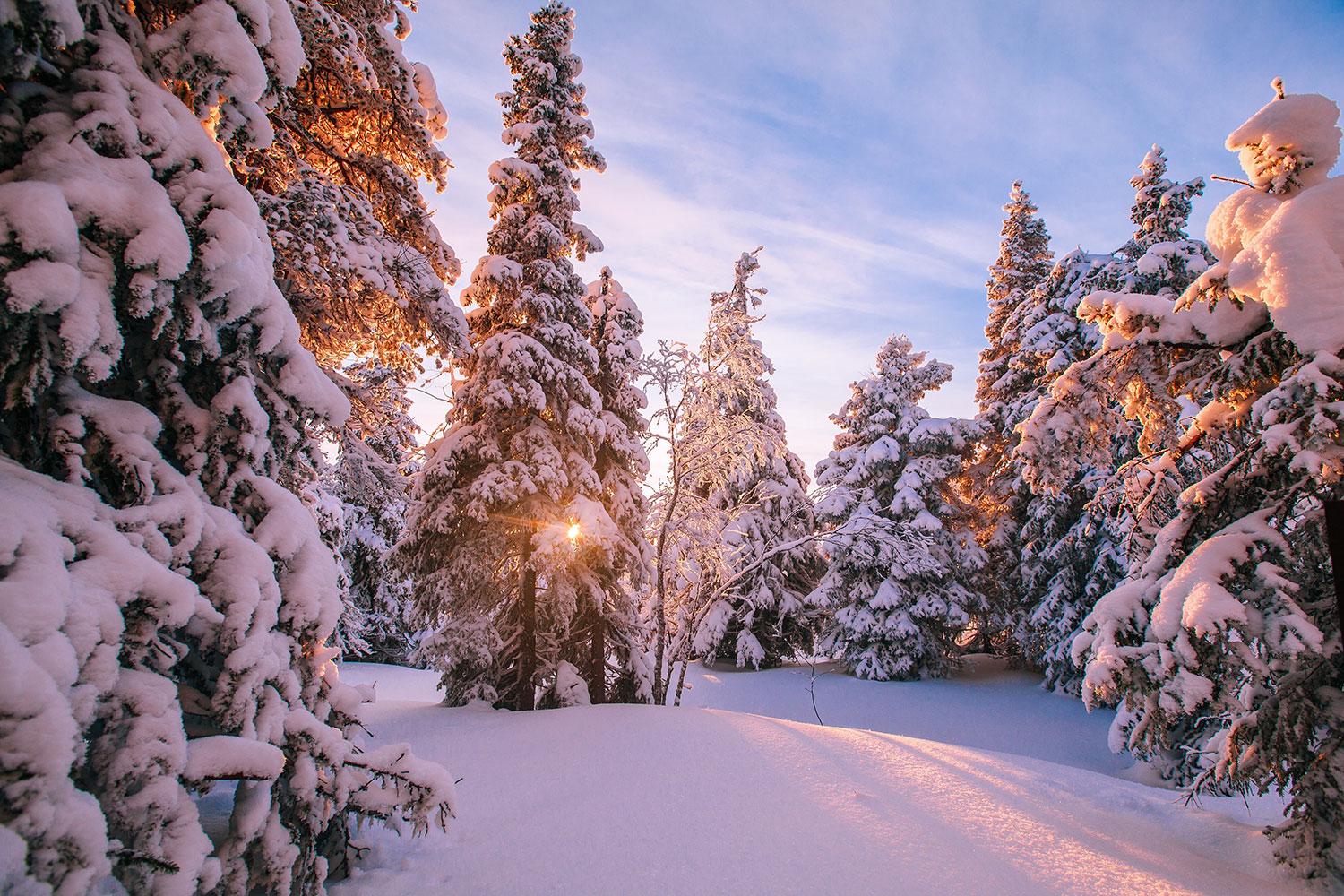 Chanserna för snö i jul är goda – i alla fall för delar av landet.