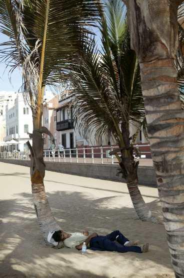 Värmen lockar till sömn under palmerna på Las Canteras.