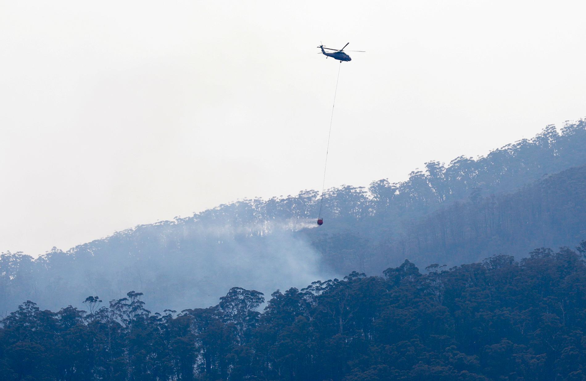 En helikopter fäller vatten över en brand nära Cobargo den 12 januari.