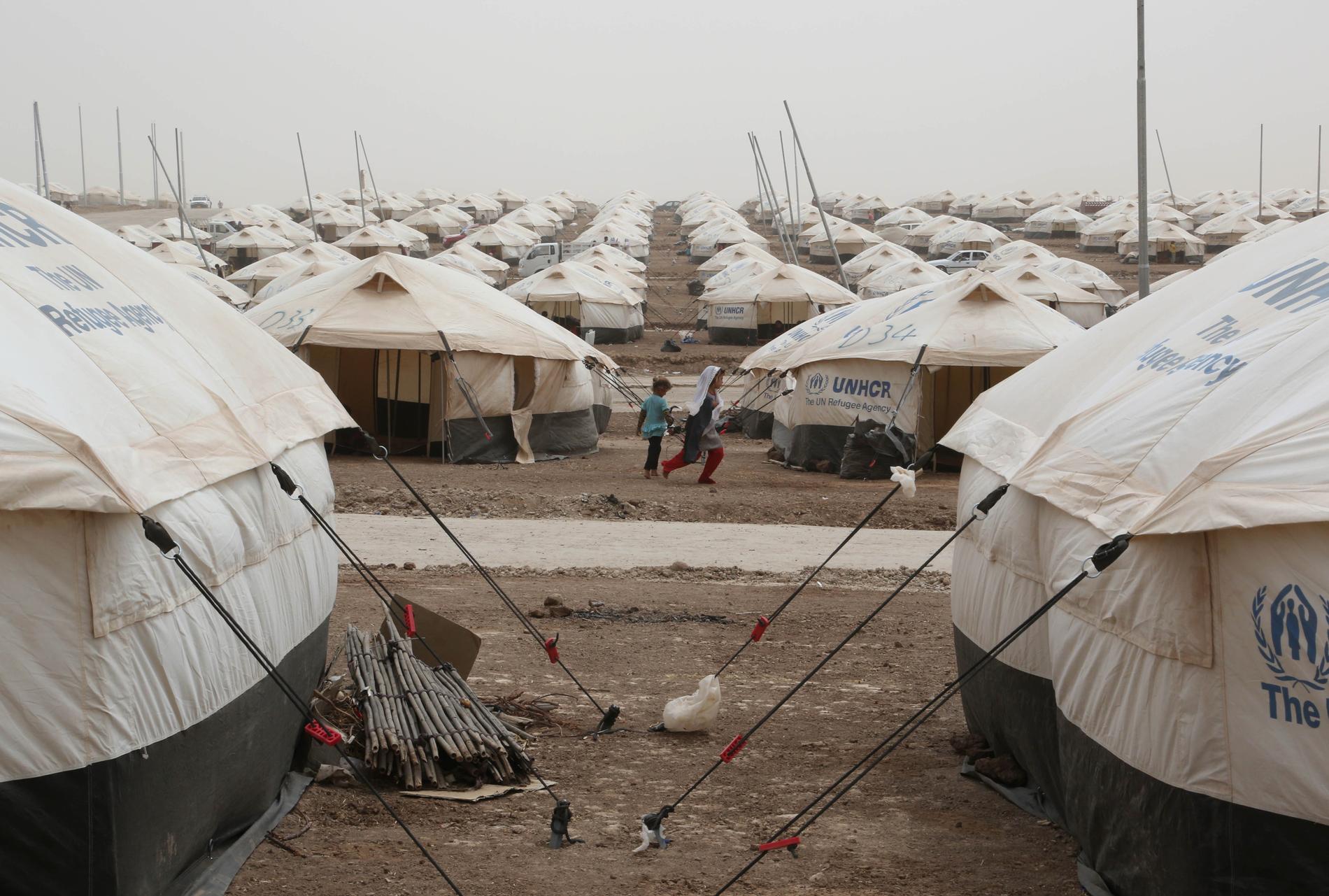 Ett flyktingläger i irakiska Feeshkhabour i augusti 2014. Sedan dess har antalet människor på flykt undan krig världen över ökat kraftigt, uppger UNHCR.