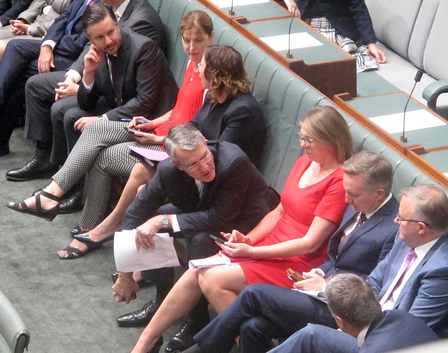Australiens oppositionspolitiker under en session i australiska parlamentet i Canberra för några dagar sedan.