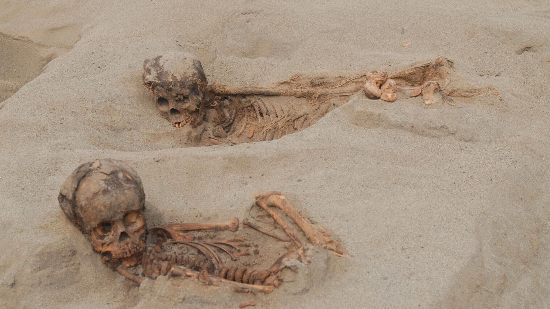 Arkeologer har hittat kvarlevorna efter 140 barn och 200 lamadjur som offrades i dagens Peru i mitten av 1400-talet.