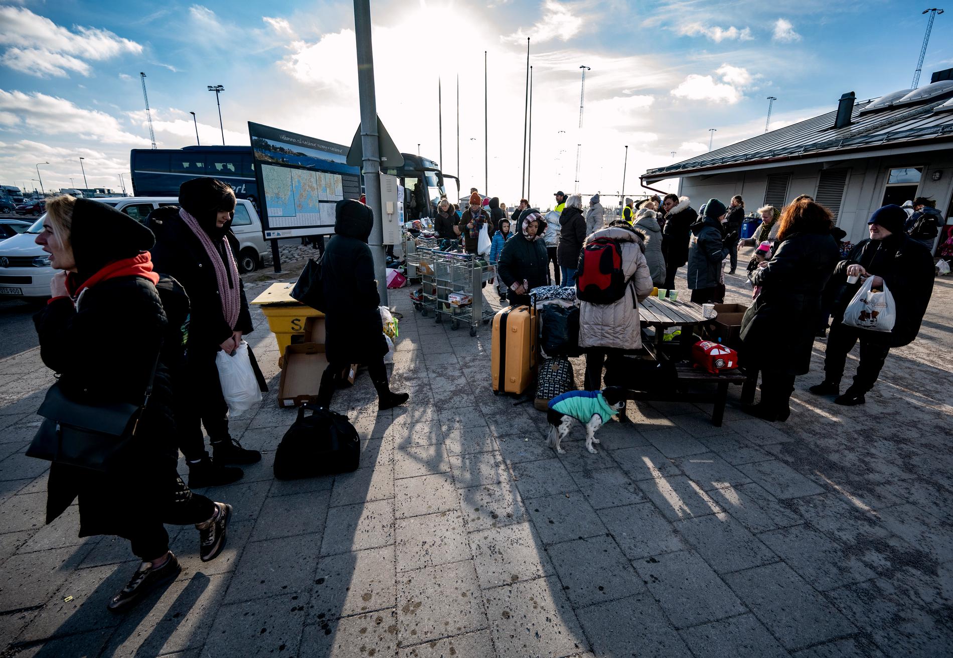 Ukrainska flyktingar på väg mot väntande bussar efter ankomst till hamnen i Karlskrona på torsdagsmorgonen. När fler ukrainare kommer till Sverige ökar behovet av tolkar som behärskar språket.